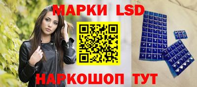 стафф Гатчина