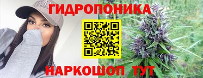 стафф Гатчина