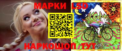 стафф Гатчина