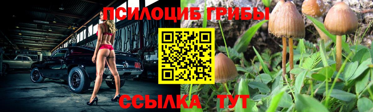 Галлюциногенные грибы прущие грибы  Вход с VPN  Галлюциногенные грибы прущие грибы  Обнинск 